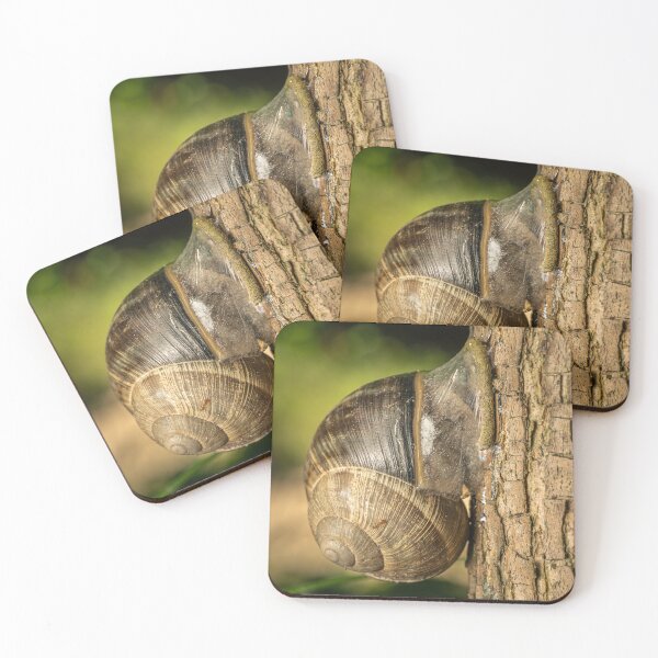 Item preview, Roman Snail on Tree Bark designed and sold by Rabee Khalil Photography.