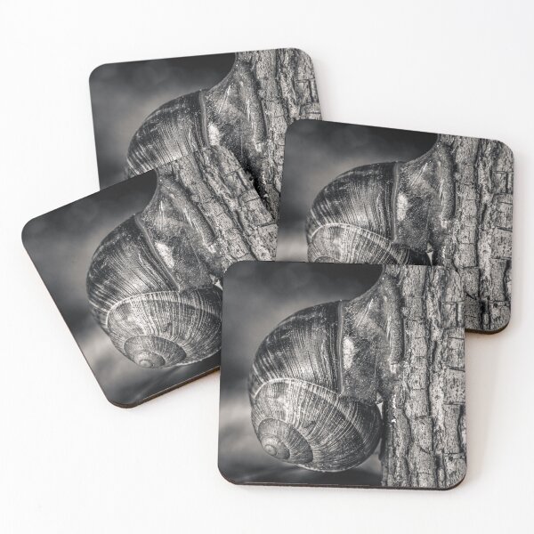 Item preview, Roman Snail on Tree Bark — Black and White Macro Fine Art Print designed and sold by Rabee Khalil Photography.