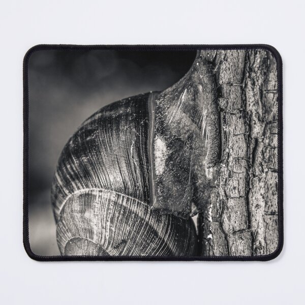 Item preview, Roman Snail on Tree Bark — Black and White Macro Fine Art Print designed and sold by Rabee Khalil Photography.