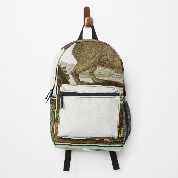 Item preview, Capybara, drawn in 1780 for Comte de Buffon designed and sold by TerryKerrImages.