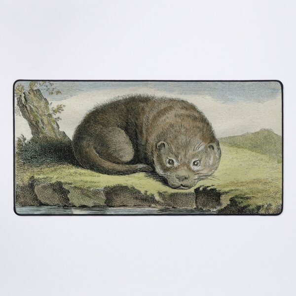 Item preview, Otters, drawn in 1780 for Comte de Buffon designed and sold by TerryKerrImages.