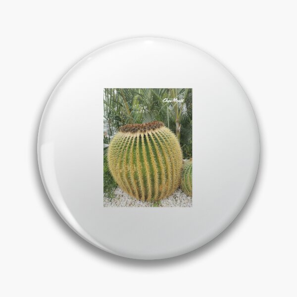 Item preview, ChevMovit Lanzarote Golden Barrel Cactus HD Edition designed and sold by ChevMovit.