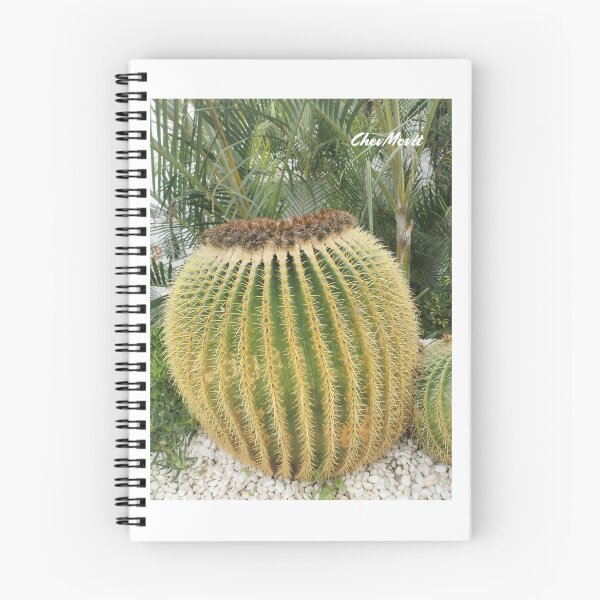 Item preview, ChevMovit Lanzarote Golden Barrel Cactus HD Edition designed and sold by ChevMovit.