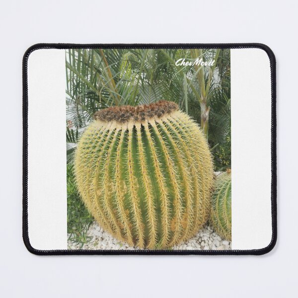Item preview, ChevMovit Lanzarote Golden Barrel Cactus HD Edition designed and sold by ChevMovit.