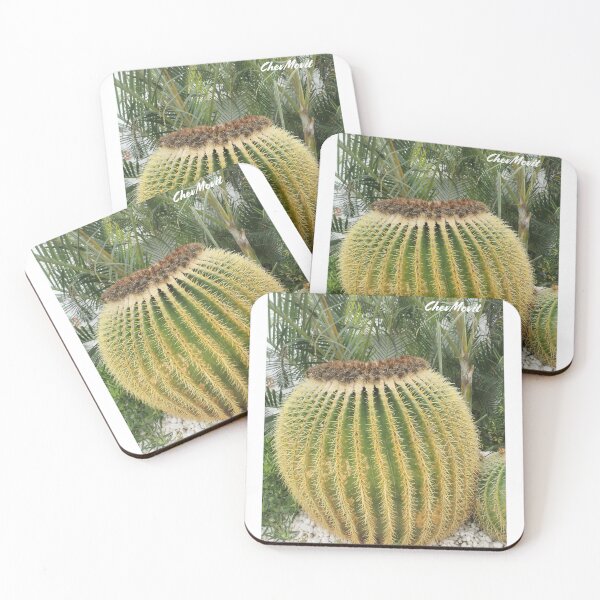 Item preview, ChevMovit Lanzarote Golden Barrel Cactus HD Edition designed and sold by ChevMovit.