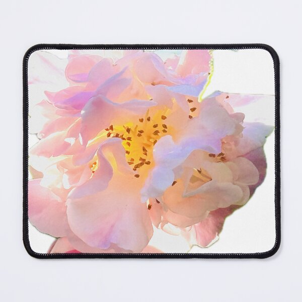 Item preview, Luminous Pastel Pink Camellia Blossom Botanical Cutout designed and sold by BalkanBloom.