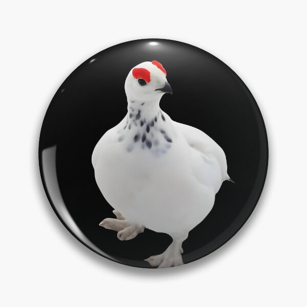 Item preview, Awebo Bird - Funny Rock Ptarmigan Meme designed and sold by Jakkuri.