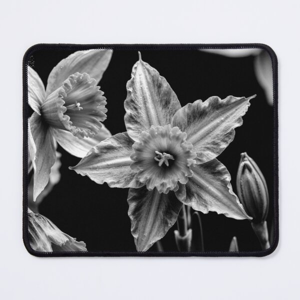 Item preview, Contrasts of Spring designed and sold by CunningMaskPrints.