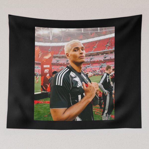 Item preview, Marlon designed and sold by Gravity apex.
