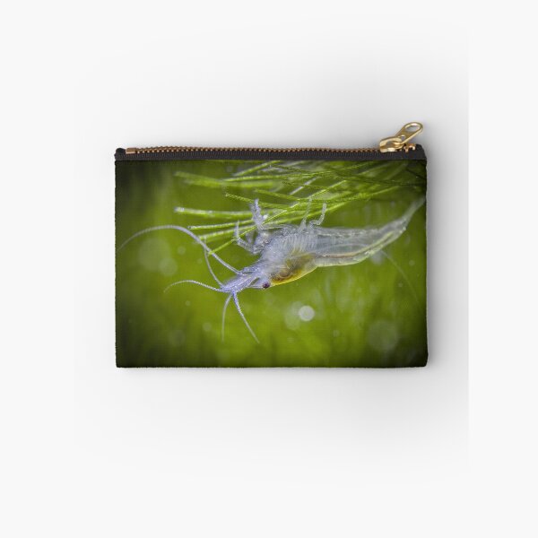 Item preview, Whimsically Posed Snowball Neocaridina Shrimp designed and sold by Cassandra Tiensivu.