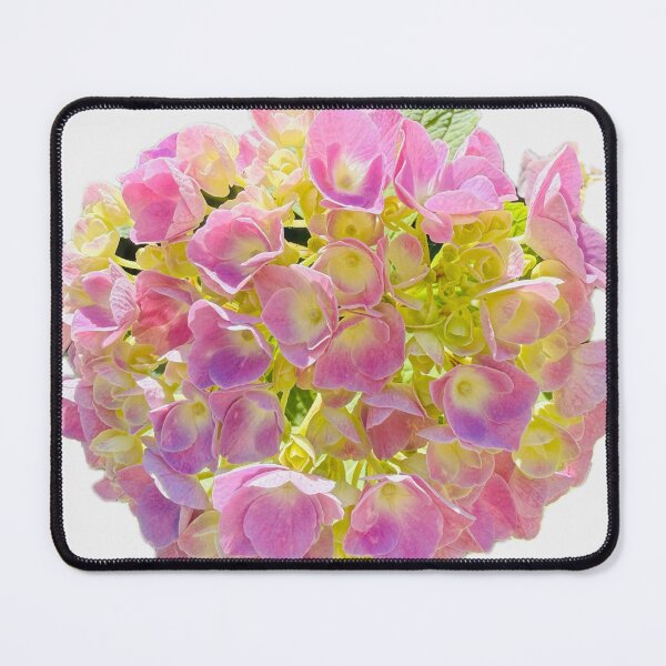 Item preview, Soft Pink and Lime Green Hydrangea Blossom Cutout designed and sold by BalkanBloom.