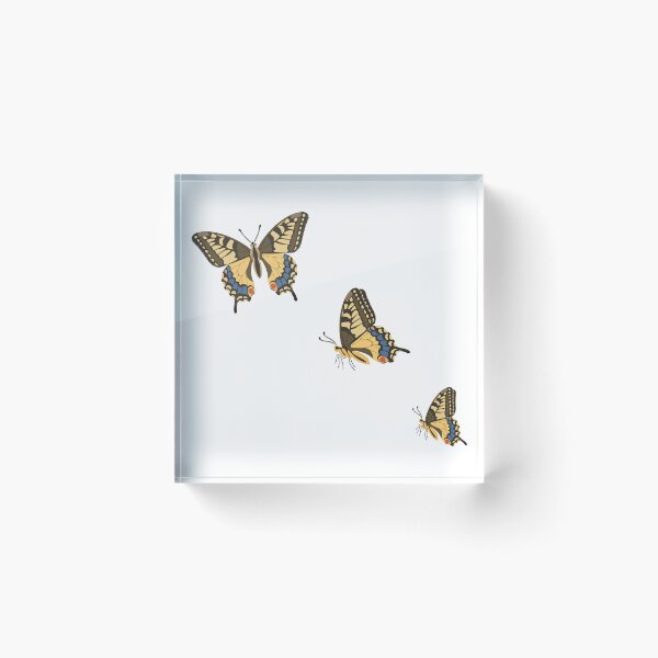 Item preview, Golden Swallowtail Butterfly Trio  designed and sold by BetweenForms.