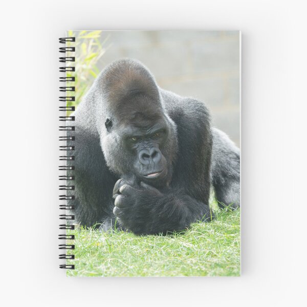 Item preview, Striking Authority of a Great Ape designed and sold by rawshutterbug.