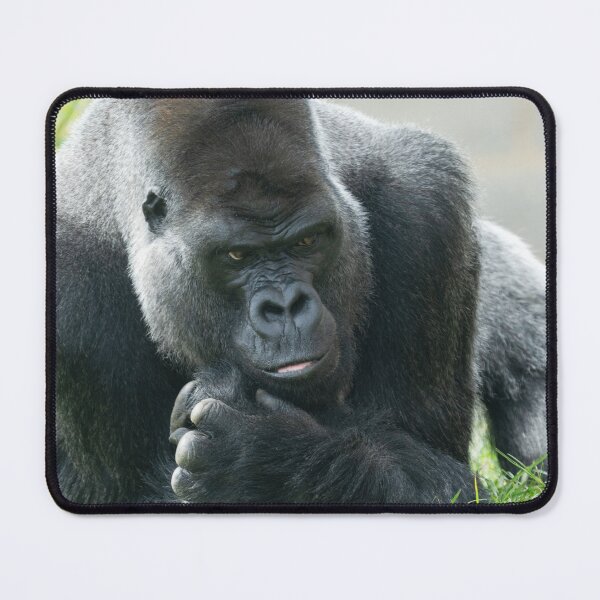 Item preview, Striking Authority of a Great Ape designed and sold by rawshutterbug.