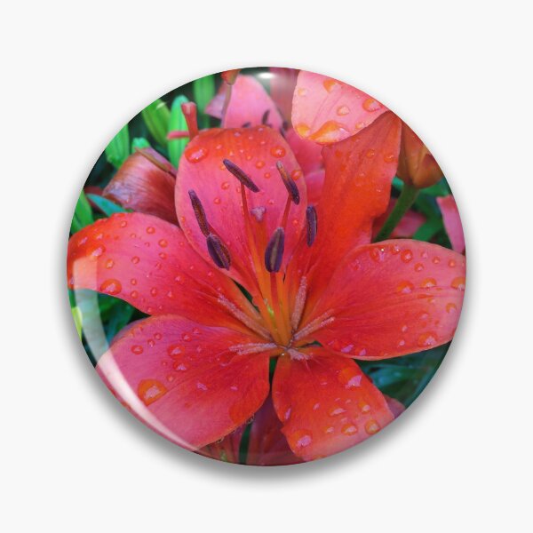 Item preview, Asiatic Lilies designed and sold by collageDP.