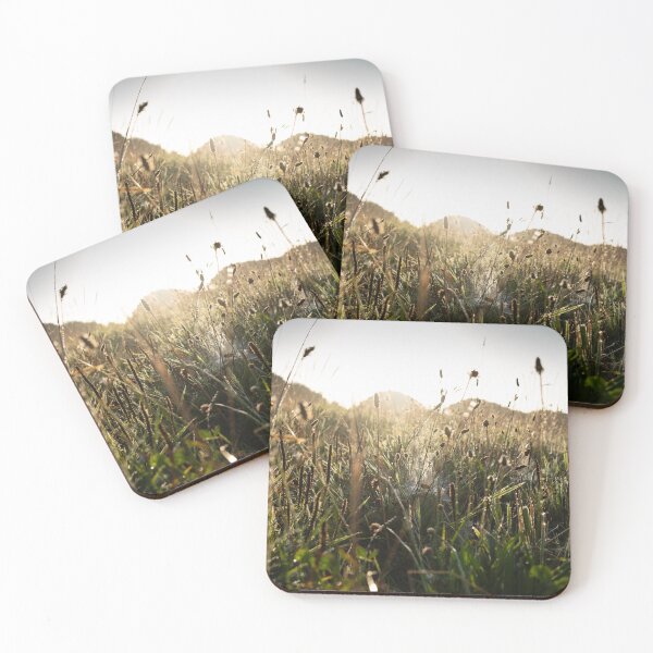 Item preview, Early sunlight with spider's web designed and sold by CPImage.