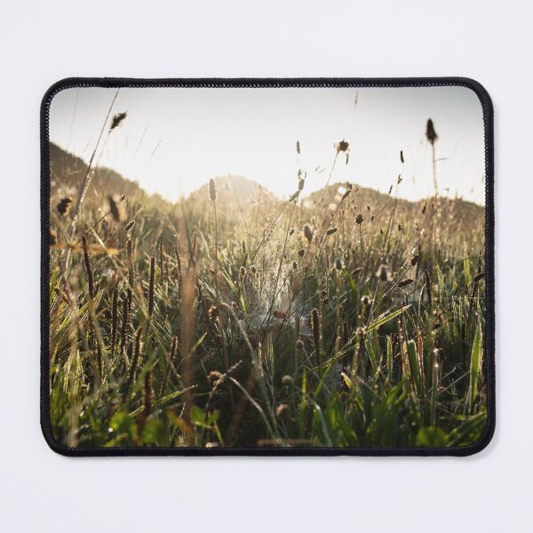 Item preview, Early sunlight with spider's web designed and sold by CPImage.