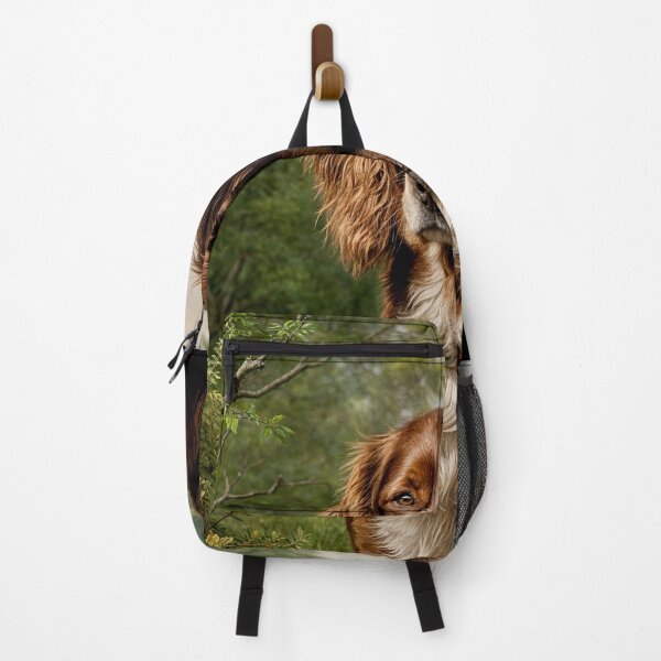 Item preview, Irish Setter Heritage Collection #2 designed and sold by Helios Be. Lavsh.
