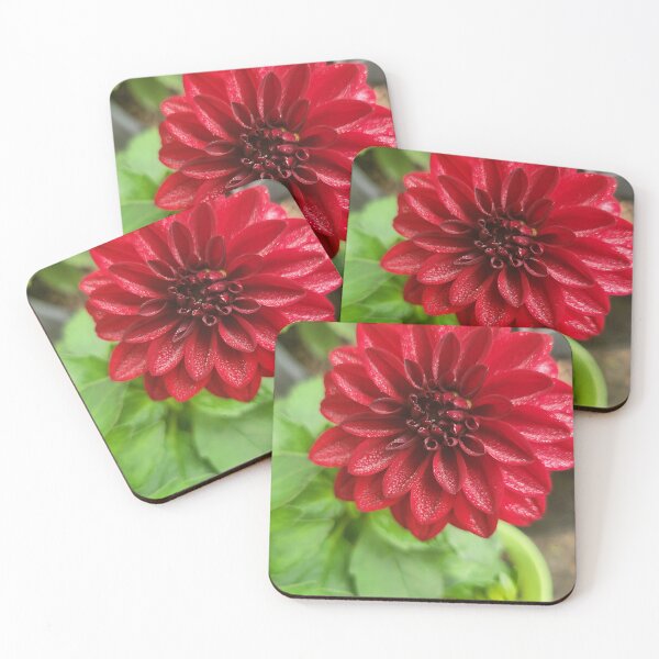 Item preview, Morning Dew on a Flower designed and sold by CreationsByMS20.