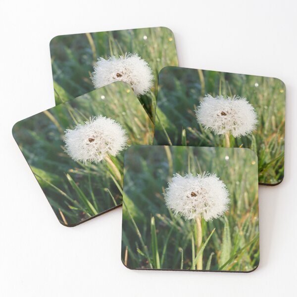 Item preview, Dandelion designed and sold by CPImage.