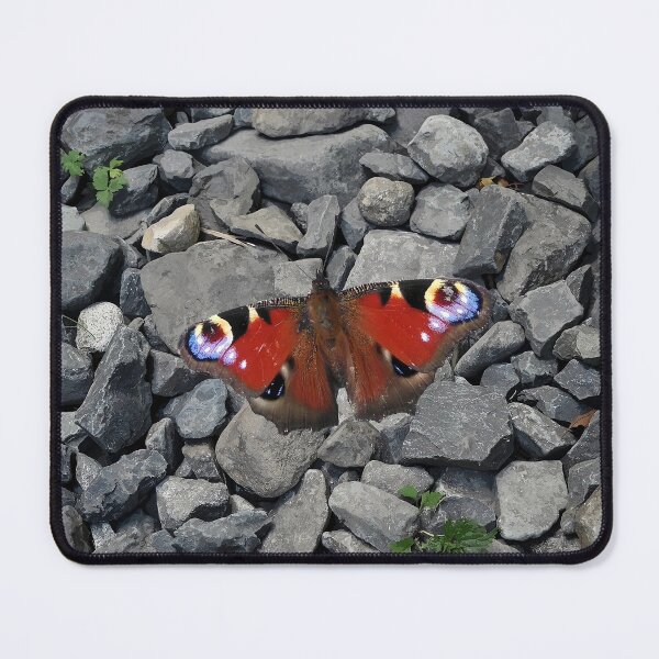 Item preview, Red and grey stone texture with butterfly designed and sold by mariya-ivanova.