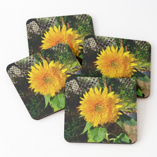 Item preview, Bright & Beautiful Sunflower designed and sold by CreationsByMS20.