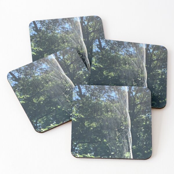 Item preview, Spider Web, REAL photograph designed and sold by GiSilver.
