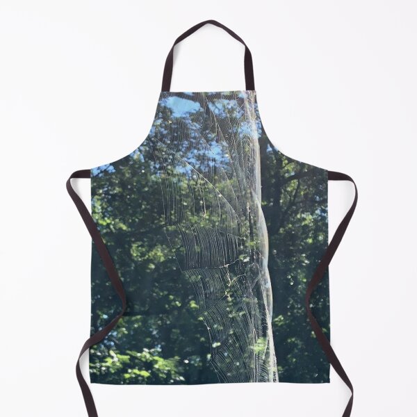 Item preview, Spider Web, REAL photograph designed and sold by GiSilver.