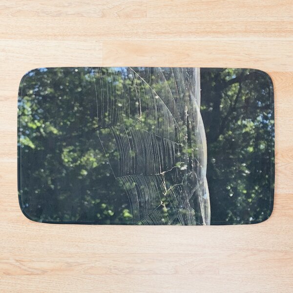 Item preview, Spider Web, REAL photograph designed and sold by GiSilver.