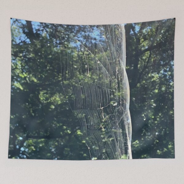 Item preview, Spider Web, REAL photograph designed and sold by GiSilver.