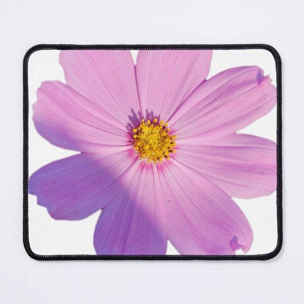 Item preview, Violet cosmos  designed and sold by sonamkumari333.