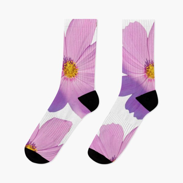 Item preview, Violet cosmos  designed and sold by sonamkumari333.