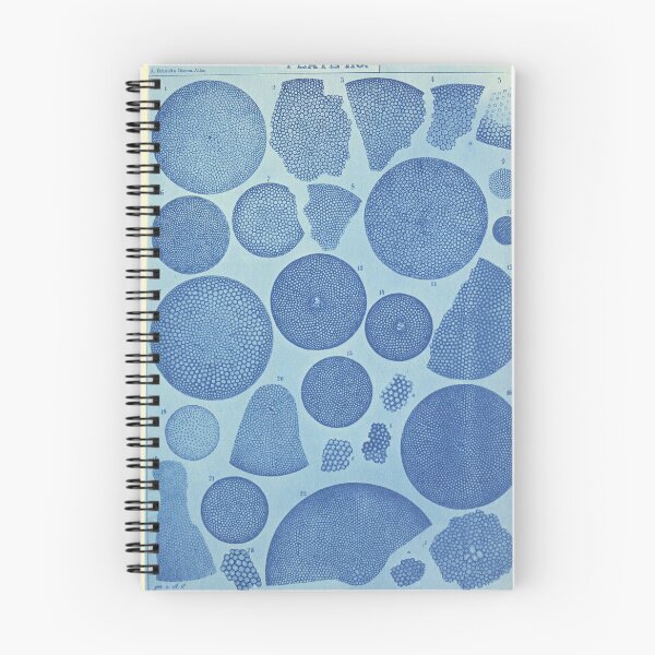 Item preview, Diatoms designed and sold by ellenmueller.