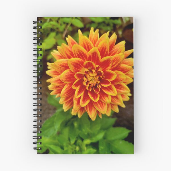 Item preview, Ketchup & Mustard Flower designed and sold by CreationsByMS20.