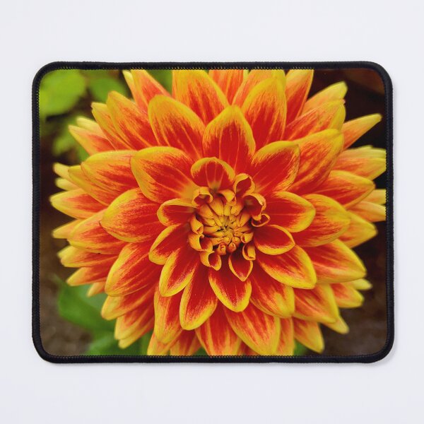 Item preview, Ketchup & Mustard Flower designed and sold by CreationsByMS20.