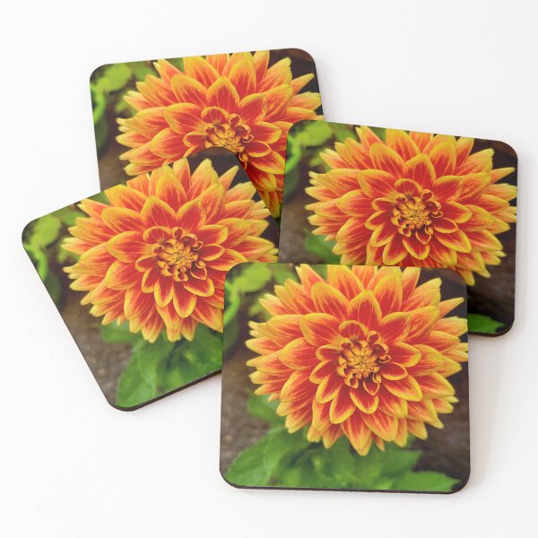 Item preview, Ketchup & Mustard Flower designed and sold by CreationsByMS20.