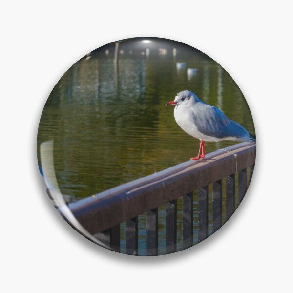 Item preview, Black-headed Gulls at Rengeji-ike Park, Japan designed and sold by Pix4Japan.