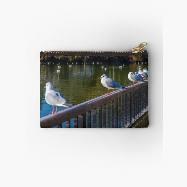 Item preview, Black-headed Gulls at Rengeji-ike Park, Japan designed and sold by Pix4Japan.