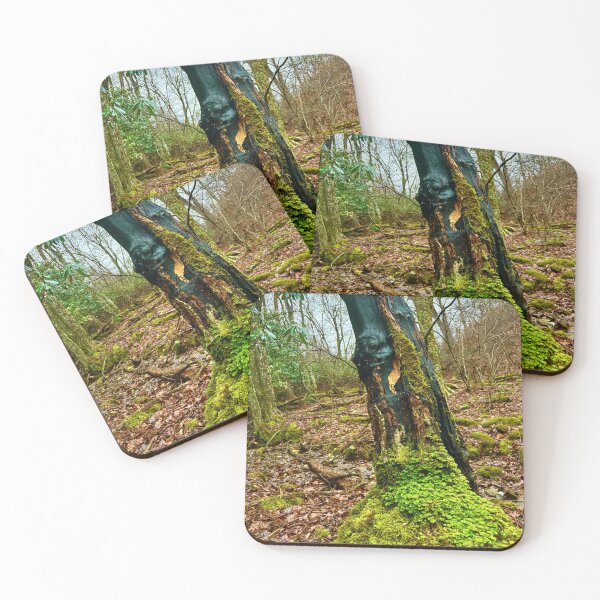 Item preview, The Watcher — Burned Tree Portrait, Virginia Forest designed and sold by VisionBazaar.