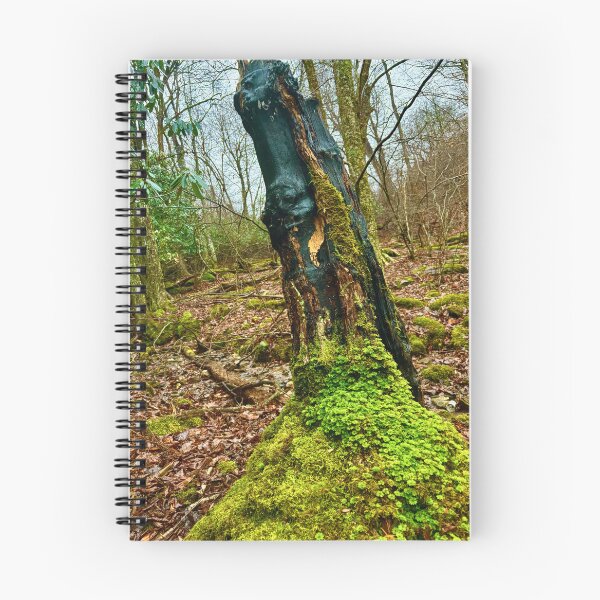 Item preview, The Watcher — Burned Tree Portrait, Virginia Forest designed and sold by VisionBazaar.