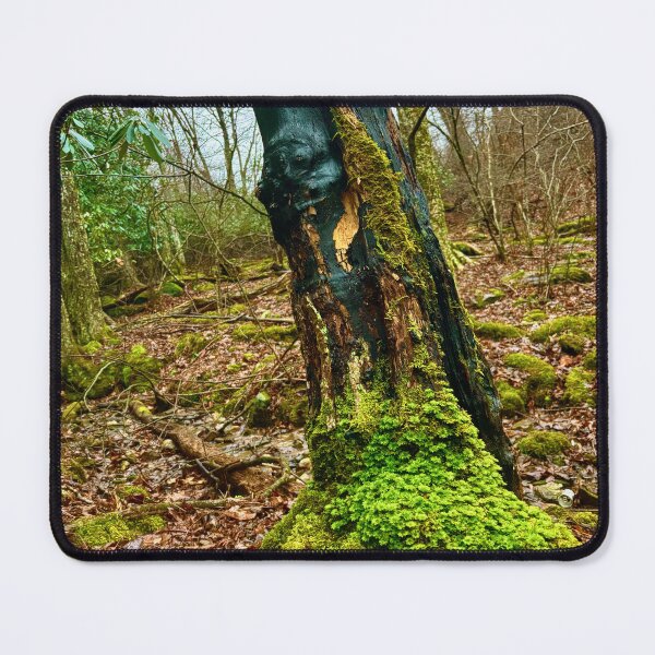 Item preview, The Watcher — Burned Tree Portrait, Virginia Forest designed and sold by VisionBazaar.