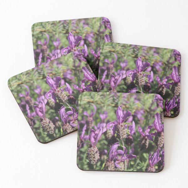 Item preview, Wild Lavender Bloom - Soft nature photography designed and sold by Cha-s-lens.