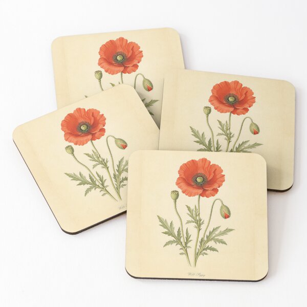 Item preview, Antique Wild Poppy Vintage Botanical Illustration designed and sold by NuvoraNest.