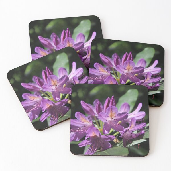 Item preview, Rhododendron in Full Bloom - Soft nature photography designed and sold by Cha-s-lens.
