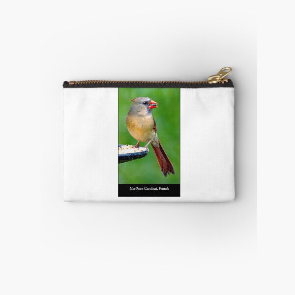 Item preview, Northern Cardinal Female on Bird Feeder designed and sold by AMacGPhilly.