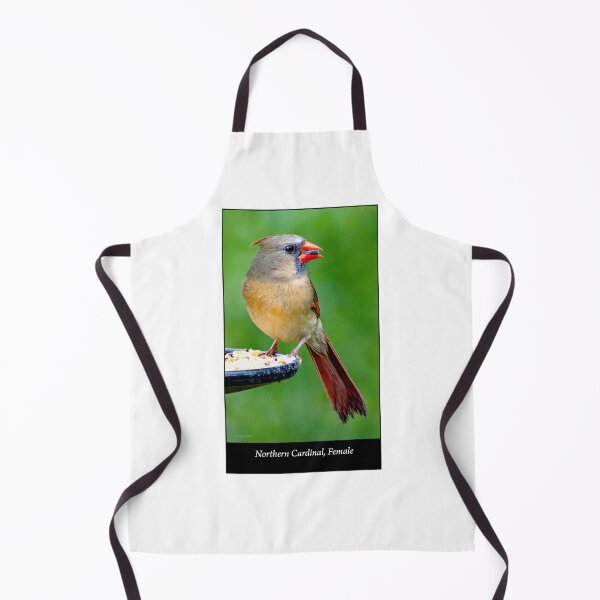 Item preview, Northern Cardinal Female on Bird Feeder designed and sold by AMacGPhilly.
