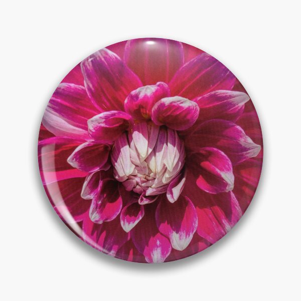 Item preview, Vivid Pink Dahlia  designed and sold by CreationsByMS20.