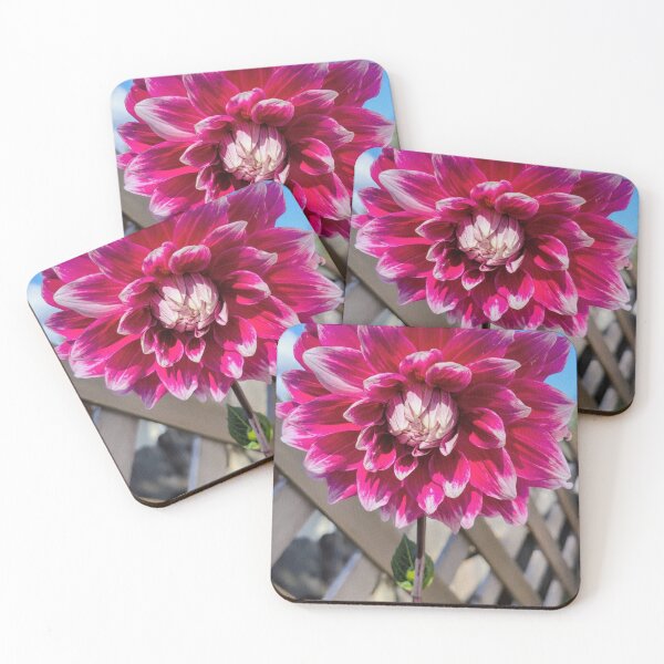 Item preview, Vivid Pink Dahlia  designed and sold by CreationsByMS20.