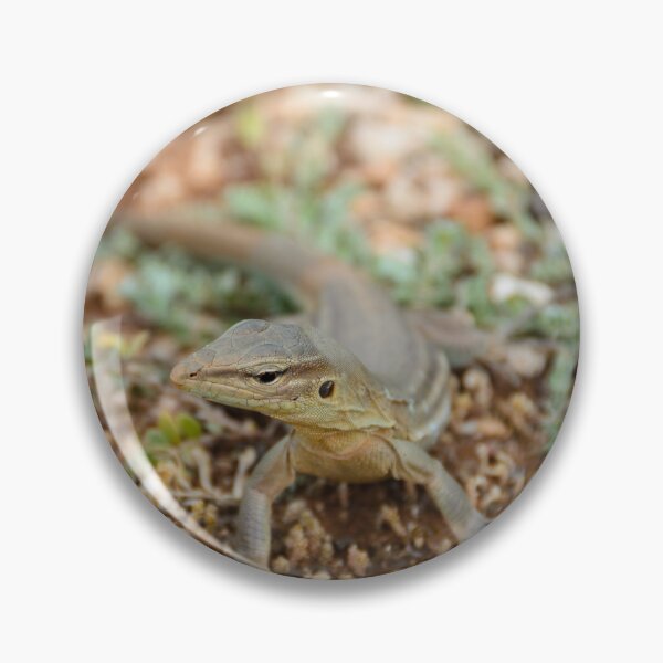 Item preview, Whiptail Lizard in His Element designed and sold by Kasia Design.