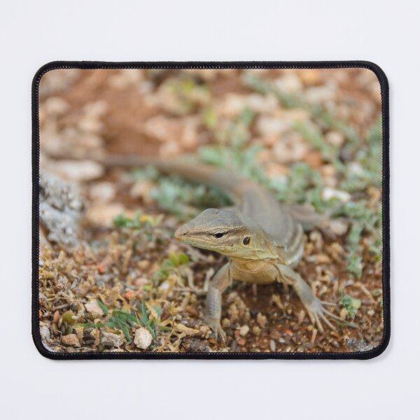 Item preview, Whiptail Lizard in His Element designed and sold by Kasia Design.